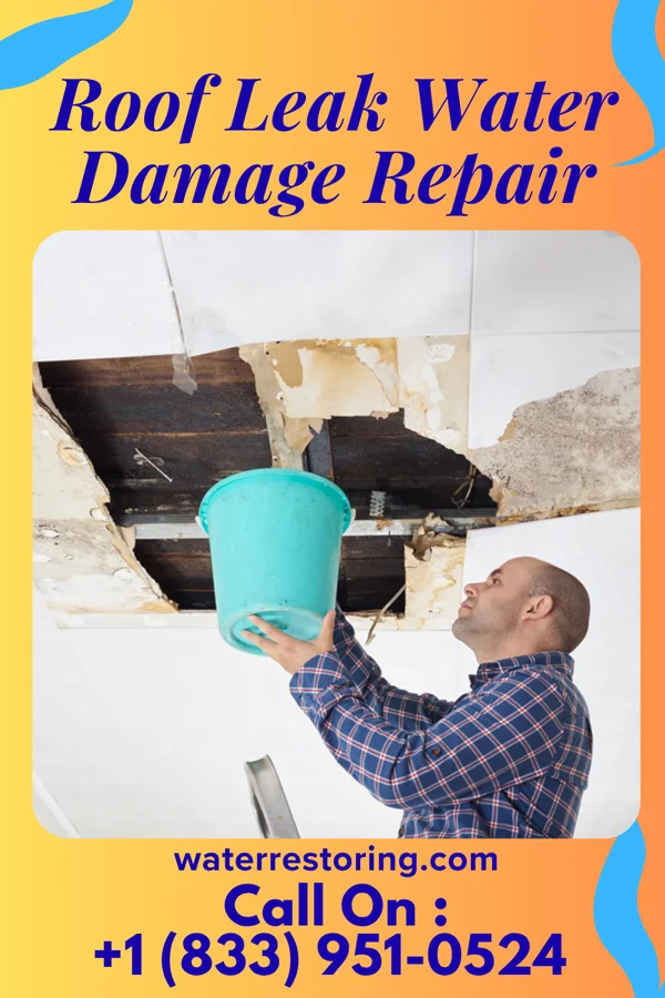 Roof Leak Water Damage Repair in Carlton Landing, OK